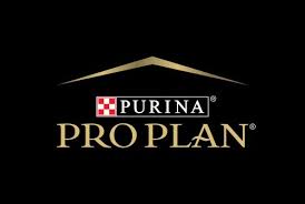 pp