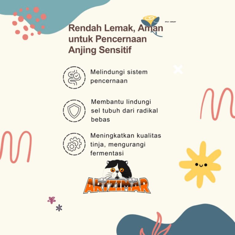 WhatsApp Image 2025-07-06 at 16.31.05