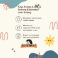 WhatsApp Image 2025-07-06 at 17.28.54(1)