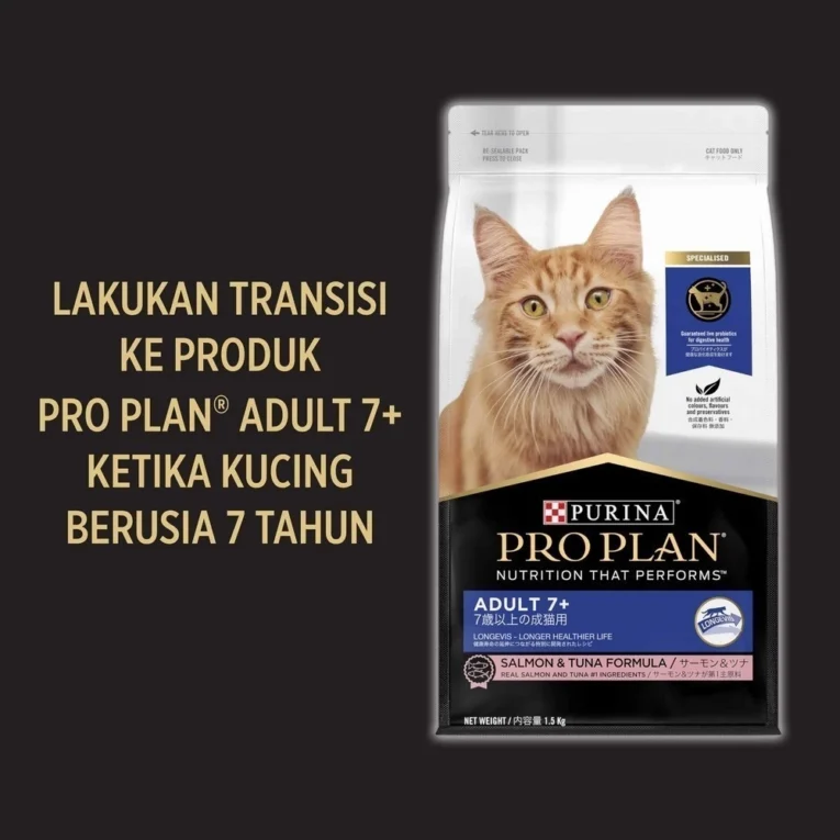 id-11134201-7r98p-lzk13dh96v5xf2