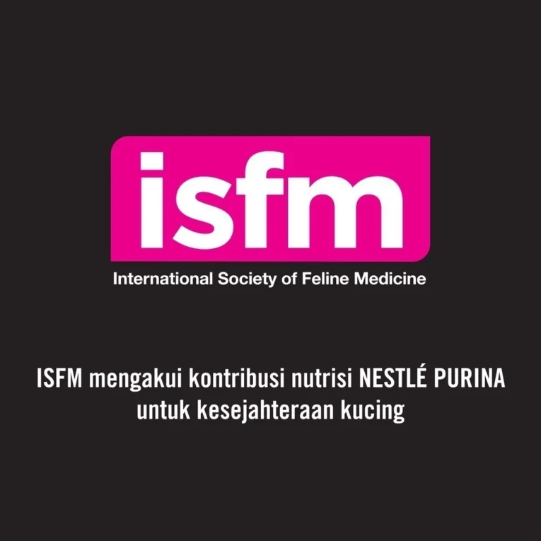 id-11134201-7r98u-lzk14fywv4ria6