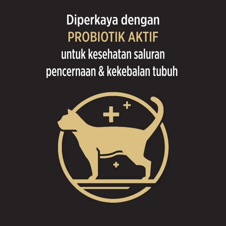 id-11134201-7r98v-lzk13dkl204ge4