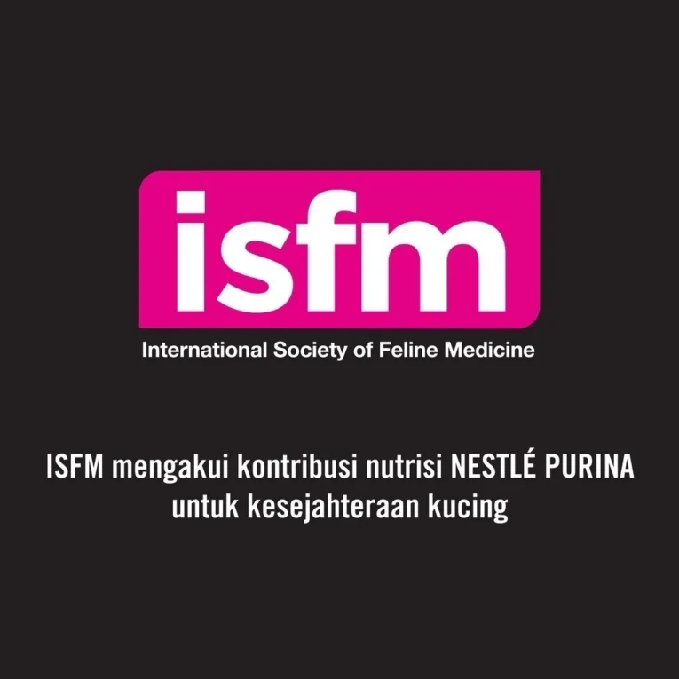 id-11134201-7r98y-lzk14iw2l8z102