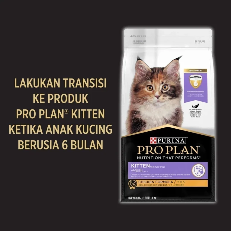 id-11134201-7r990-lzk14jjdn4lk7b
