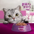id-11134207-7quky-lj8c4e72iswud6