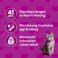 id-11134207-7r98o-lqa1f8xfjxhs69