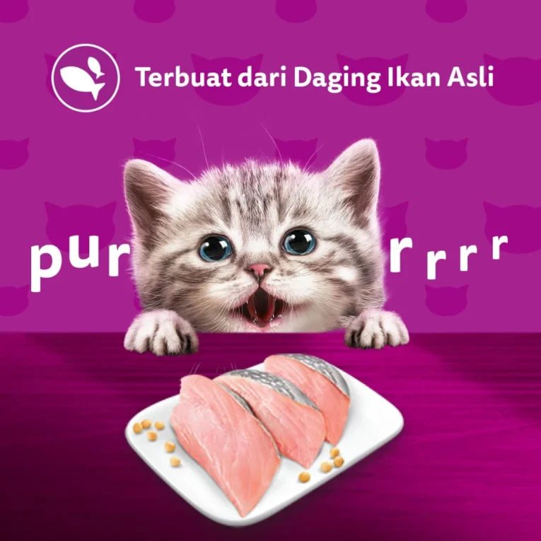 id-11134207-7r98o-lqgedzcgt8v2a1