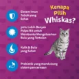 id-11134207-7r98w-lvx5w9zwtctq8c