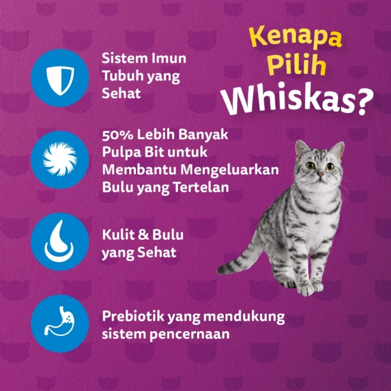 id-11134207-7r98w-lvx5w9zwtctq8c