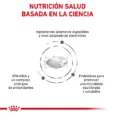 id-11134207-7r98y-llsmucb2sqlwe0