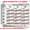 id-11134207-7r98y-llsmucb2u56c04