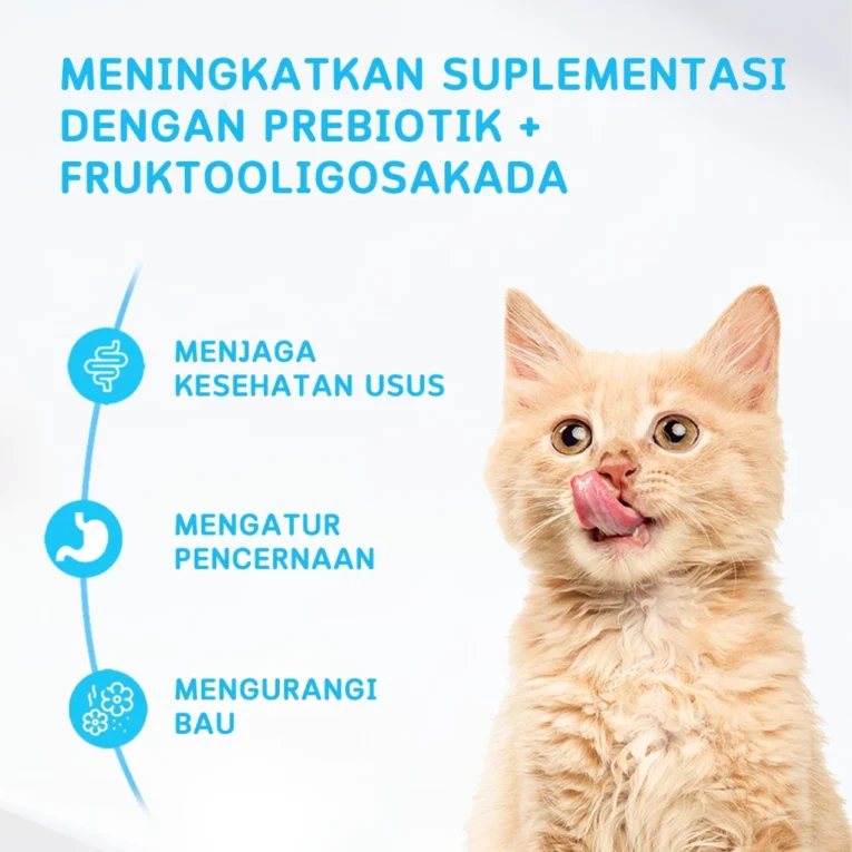 id-11134207-7r991-lz9a26feuielf3