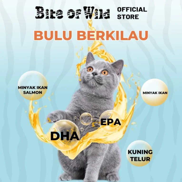 id-11134207-7rasa-m5wkl23au4xuf7