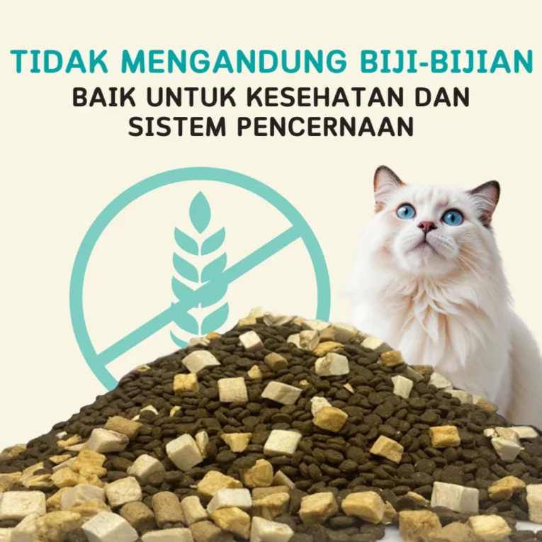 id-11134207-7rasa-m640yjdu78uad5