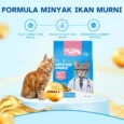 id-11134207-7rasj-m64wtjwhn1sjb0