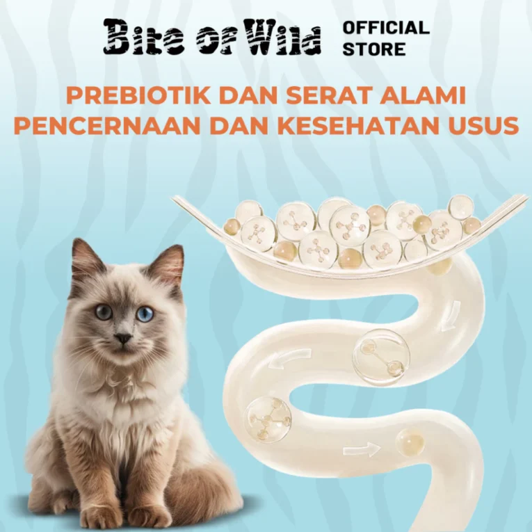 id-11134207-7rask-m5wkl23b3ywy0c