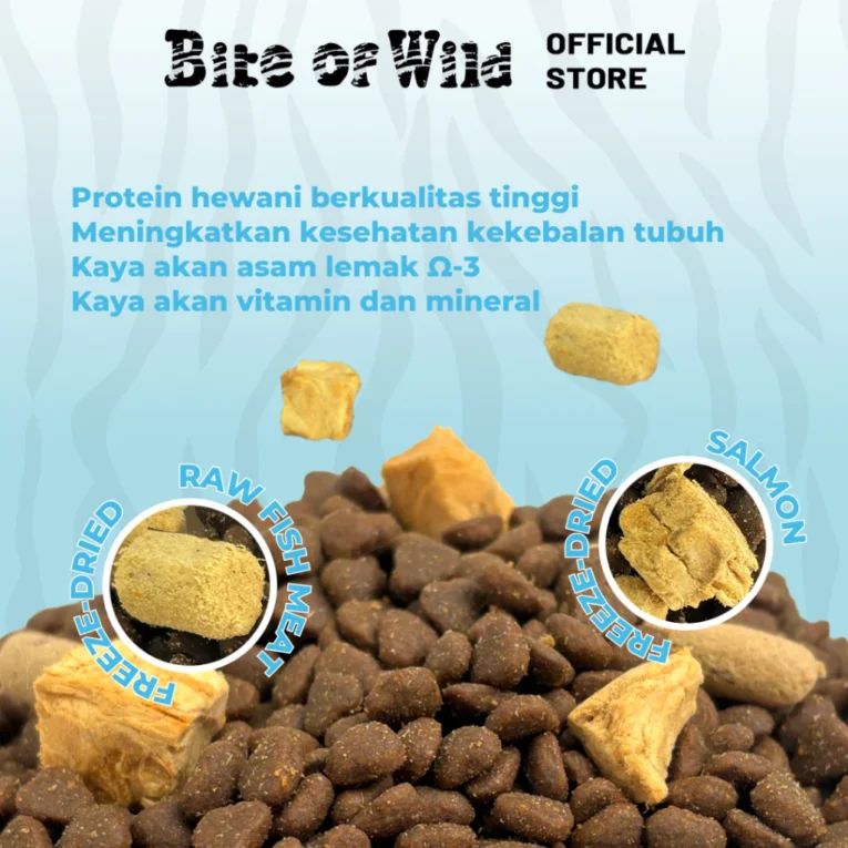 id-11134207-7rasl-m5wkl23aycn63e