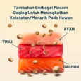id-11134207-7rbk5-m7ubls6x4u6996
